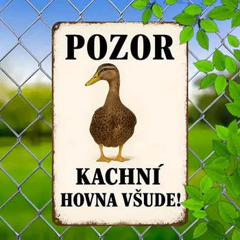 Plechová cedule BAF Kovová cedule Pozor na kachní enóna 30 x 20 cm POŠKOZENO