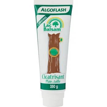 Tmel na dřevo Algoflash CICATN