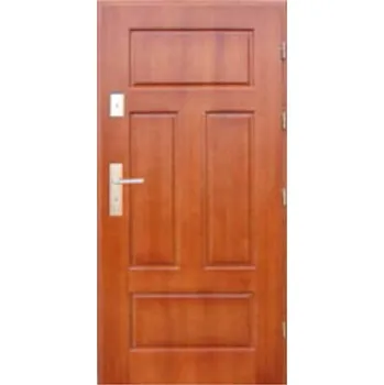 Vchodové dveře ArchoD Venkovní vchodové dřevěné dveře Deskové DP-59