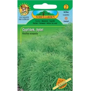 Semeno Bytel metlovitý - cypřišek, zelený NOHEL GARDEN EXPIRACE