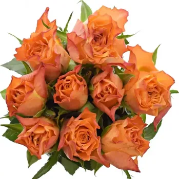 umělá květina Kytice 9 oranžových růží MARIYO! 50 cm