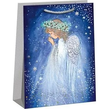 Dárková taška ARGUS Dárková papírová taška (23.5 x 33 cm) 08590146