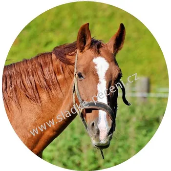 Jedlá dekorace na dort Obrázek Jedlý papír Kůň A