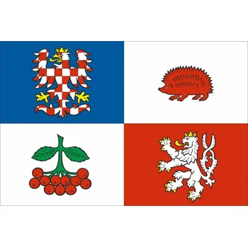 Vlajka Vlajka Vysočiny vlajka - 30 x 45 cm - tunel, karabina