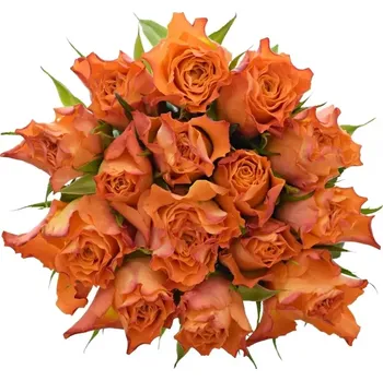 umělá květina Kytice 15 oranžových růží MARIYO! 50cm