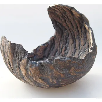 Květináč Keramická Skořápka 13 x 12,5 x 12,5 cm hnědá