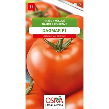 Semeno Rajče tyčkové Dagmar F1 (kulovité, pevné) 12/2028