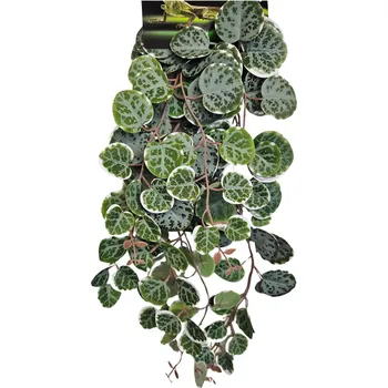 Dekorace do terária Repto Plant Hanging Round Leaves 46 cm