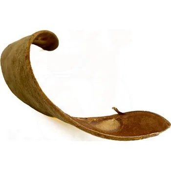 Dekorace do akvária Přírodní dekorace AquaCurl velký 14-17 cm