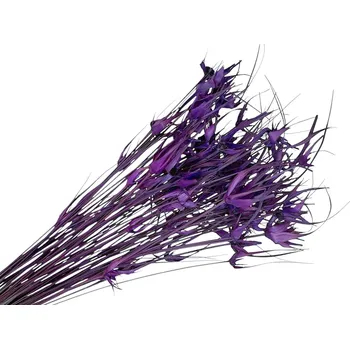 umělá květina FLOWERIO Sušená tráva Capin Stela - tulipánová tráva 100g - fialová