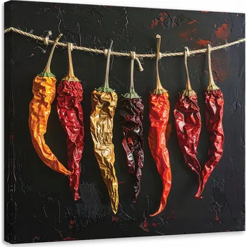 Obraz Obraz do kuchyně, restaurace, baru nebo jídelny, Sušené chilli papričky 20x20 cm