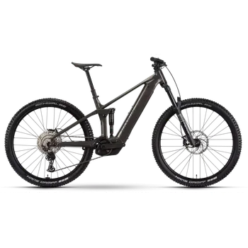 Elektrokolo Raymon Korak Pro 29" 2026 L pipegrey/black