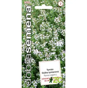 Semeno Tymián 0,2g - Dobrá semena EXPIRACE
