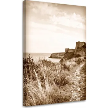 Obraz Obraz do obýváku, ložnice, kanceláře, Mořská krajina sépie útes skály 30x45