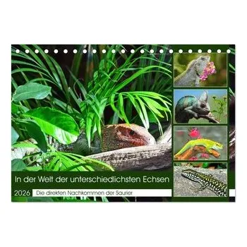 Příroda In der Welt der unterschiedlichsten Echsen (Tischkalender 2026 DIN A5 quer), CALVENDO Monatskalender - Kleemann, Claudia