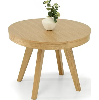 Jídelní stůl Mebel Partner Trasladar (dub)