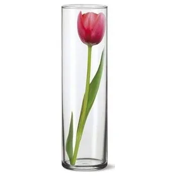 Váza Váza Simax, sklo 8 x 28 cm