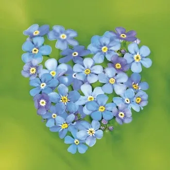 Papírový ubrousek Ubrousky 33 x 33 cm DAISY 20 ks [B]