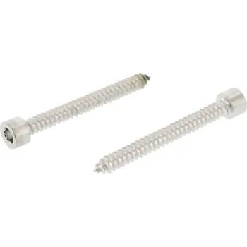 Spojovací materiál Šroub do plechu 5,5x25 mm válec hlava vnitřní inbus nerez ocel A4 DIN 912 1 ks