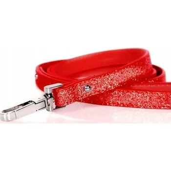 Vodítko pro psa Tradiční Vodítko eko kůže 1,2 m