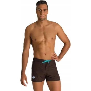 Pánské kraťasy Pánské plážové šortky Arena hnědé M