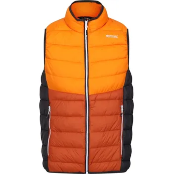 Pánská vesta Vesta Regatta OraPep 5771225 L