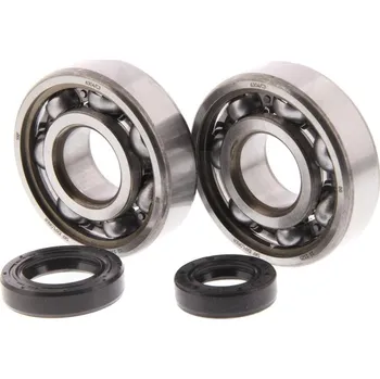 Centauro Ložiska + gufera klikové hřídele DJ / Movie 666A058BS