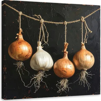 Obraz Obraz do kuchyně, restaurace, baru nebo jídelny, Závěsná cibule, zelenina, 50x50 cm