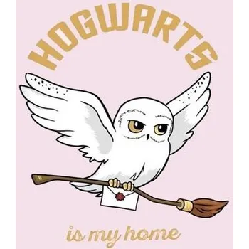 FLÍSOVÁ DEKA HARRY POTTER HEDVIKA DE LUX