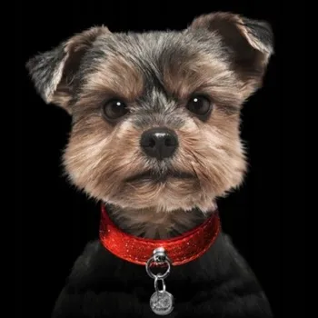 Obojek pro psa Obojek pro psa z ekologické kůže MILK&PEPPER