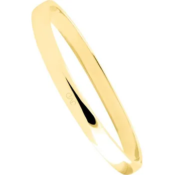 Náramek Náramek JVD JGB6G nerez ocel