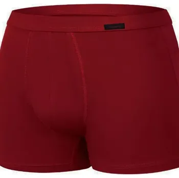 Pánské boxerky mini AUTHENTIC 223 claret S
