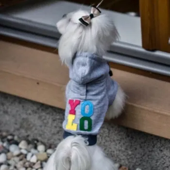 Obleček pro psa MIKINA S KAPUCÍ PRO PSY S KOSTI A MISKOU YOLO M