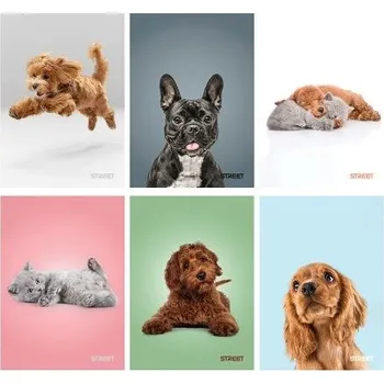 Sešit Sešit A4 56 listů Friends čtverečkovaný