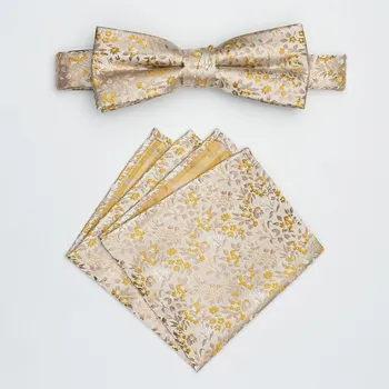 Motýlek Pánský motýlek BANDI, model FLERIO medium 01