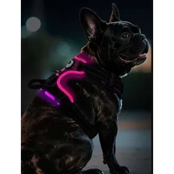 Postroj pro psa Postroj pro psa se světlem LED a úchytem na vodítko, velikost S, růžový