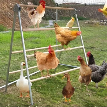 Dvojitý hřad pro slepice – nastavitelný dřevěný hřad, komplet se 7 tyčemi