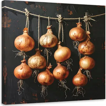 Obraz Obraz do kuchyně restaurace baru jídelny, Zlatavé Cibule zelenina 40x40