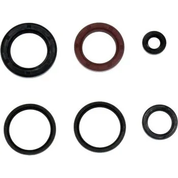 Centauro Gufera motoru sada X-Citing 400 12-16 666A613SR