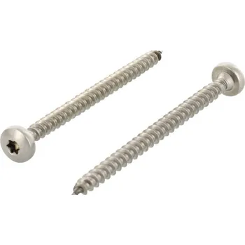 Vrut Univerzální vrut 4,5x55 mm půlkulatá hlava TX20 plný závit nerez ocel A4 1 ks