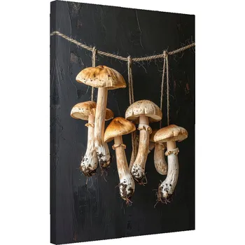 Obraz Obraz do kuchyně restaurace baru jídelny, Sušené houby hřiby 30x45