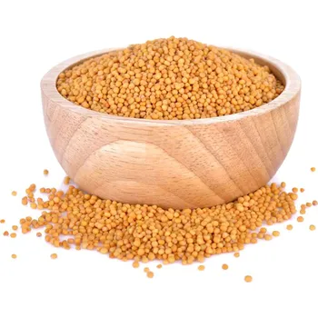 Hořčice BIO žlutá semínko 200 g