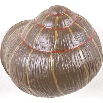 Věšák Seletti, Věšák Snail Sleepy barevný - Formadore