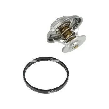 Těsnění motoru Termostat, chladivo NRF 725216