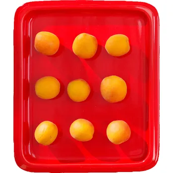 FINE DINE Obdélníkový podnos, porcelán, GN 1/2, červený | FINE DINE, 783511