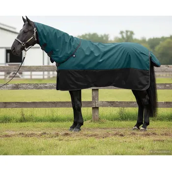 Jezdecké sedlo vidaXL Deka pro koně Tmavě zelená a černá 165 cm Polyester [42013146]