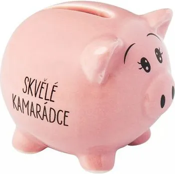 Pokladnička ALBI Prasátko - Skvělé kamarádce