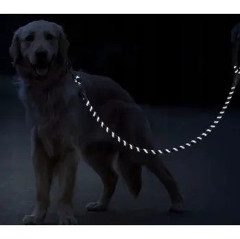 Vodítko pro psa Vodítko treningové vodítko PAGMIL lanko 3 m