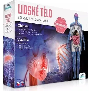 Desková hra ALBI Lidské tělo