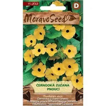 Semeno Černooká Zuzana